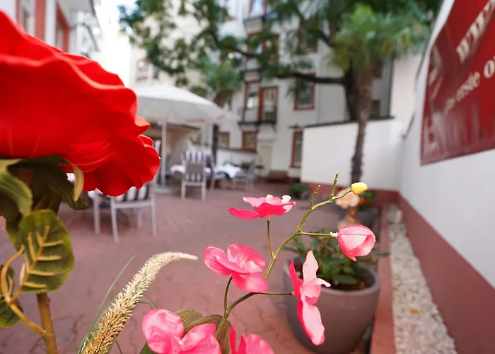 Little Paris Hotell 3*